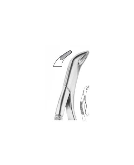 EXTRACTION FOCEPS “AMERICAN PATTERN