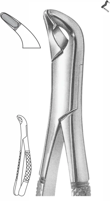 EXTRACTION FOCEPS “AMERICAN PATTERN