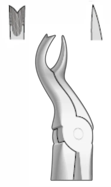 EXTRACTION FOCEPS WITH ANATOMICAL GRIP