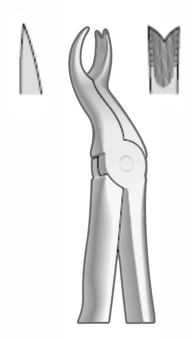 EXTRACTION FOCEPS WITH ANATOMICAL GRIP