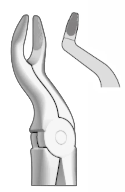 EXTRACTION FOCEPS WITH ANATOMICAL GRIP