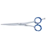 Professional Hair Dressing Scissors