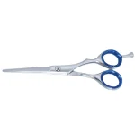 Professional Hair Dressing Scissors