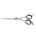 Professional Hair Dressing Scissors