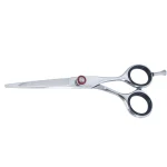 Professional Hair Dressing Scissors