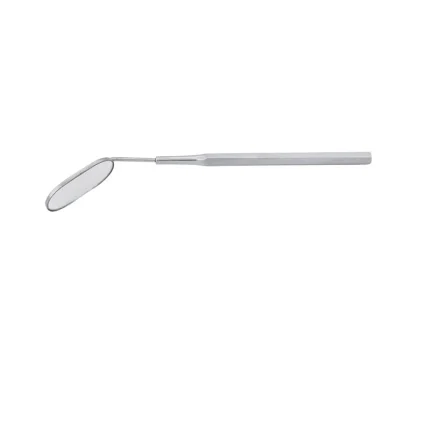 Eyelash Tweezer & Scaler